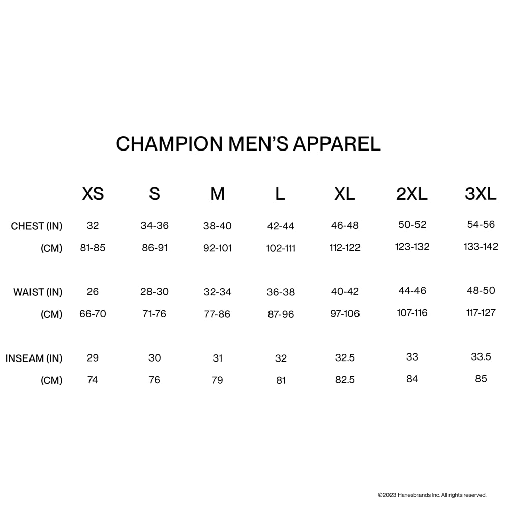 Champion Men's Powerblend Fleece Hoodie Sweatshirt