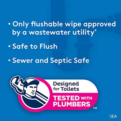UPDATE: SOLD OUT! Cottonelle Flushable Wet Wipes - 1 Refill Pack, 168 Total Flushable Wipes