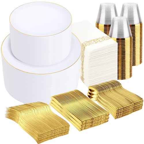700 Piece Disposable Plastic Dinnerware Set with Cups
