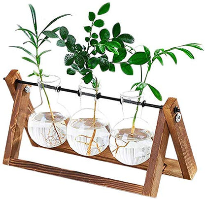 Water Planting Glass Vase Desktop Glass Planter Bulb Vase Hanging with Retro Solid Wooden Stand for Hydroponics Plants Home Office Decor (Three)