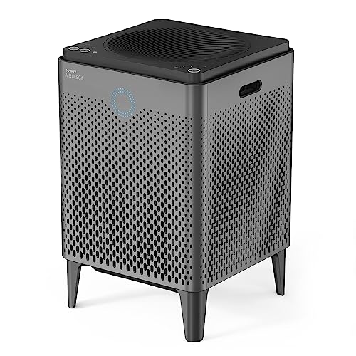 Coway Airmega 400 Large Room HEPA Air Purifier
