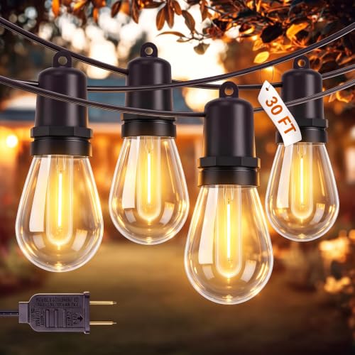 30FT Outdoor String Lights with Shatterproof LED Bulbs