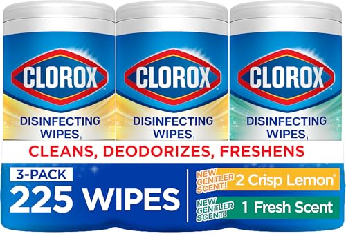 225 Count Clorox Disinfecting Wipes Multi-Surface Cleaner