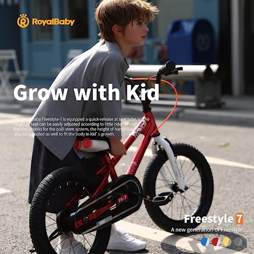 RoyalBaby 14 Inch Kids Bicycle with Handbrakes