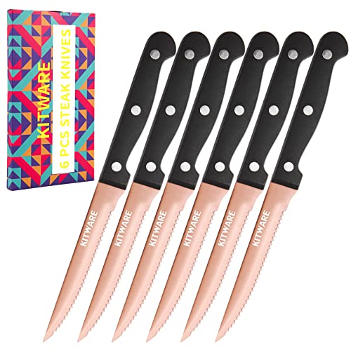 6 Piece Serrated Steak Knife Set