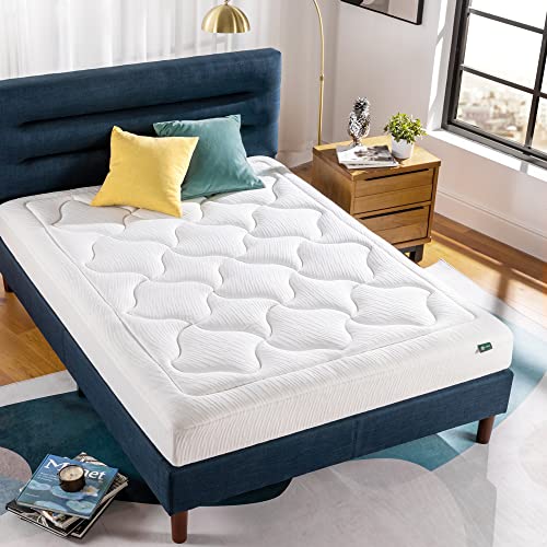 ZINUS 8 Inch Queen Memory Foam Mattress, Fiberglass Free
