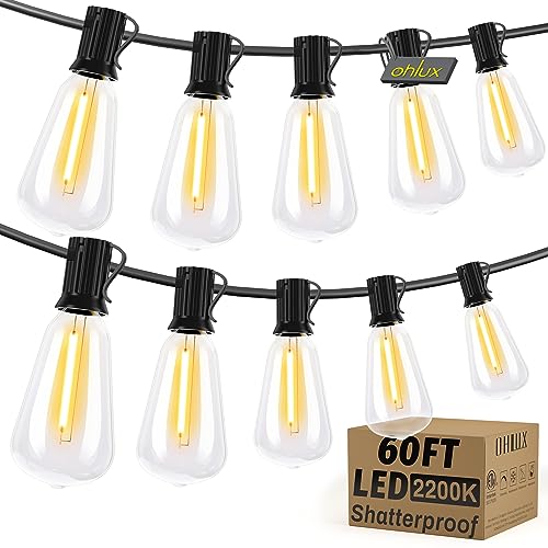 60FT Dimmable LED Outdoor String Lights