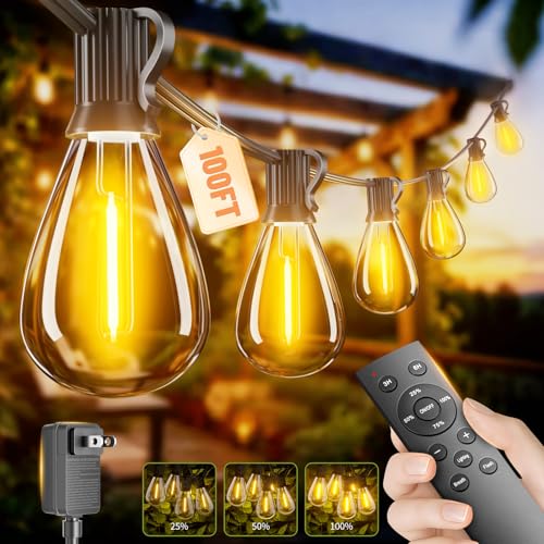 100FT Dimmable LED Outdoor String Lights with Remote