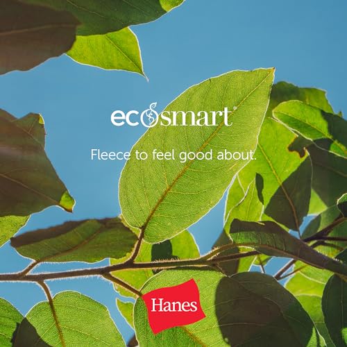 Hanes EcoSmart Pullover Hoodie for Men