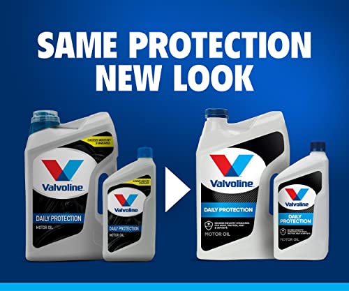 Valvoline Daily Protection 10W-30 Conventional Motor Oil 1 QT, Case of 6