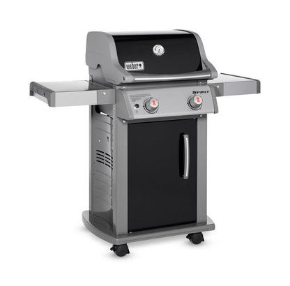 Weber 2-Burner Gas Grill for Outdoor Cooking