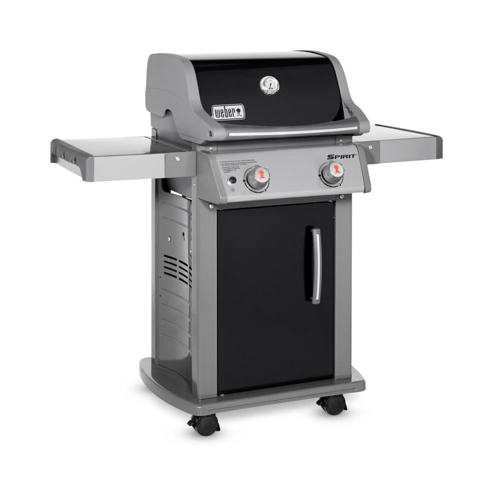 Weber 2-Burner Gas Grill for Outdoor Cooking