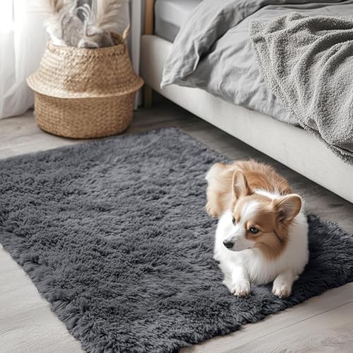 2x3 Soft Shaggy Washable Bedside Rug for Kids