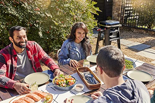 Weber Compact Portable Electric Barbecue Grill