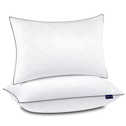 2 Pack Wellos Down Alternative Bed Pillows