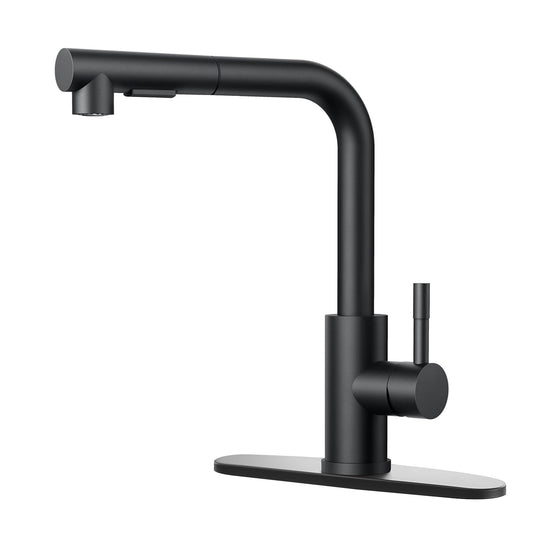 JOOM Black Pull Down Kitchen Faucet with Sprayer