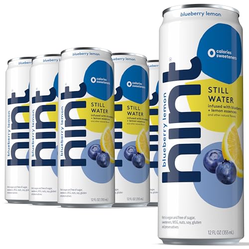 12 Pack Hint Blueberry Lemon Flavored Canned Water