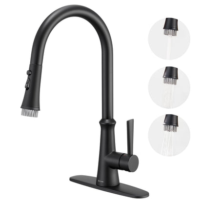 Aktines Matte Black Kitchen Faucet with Sprayer