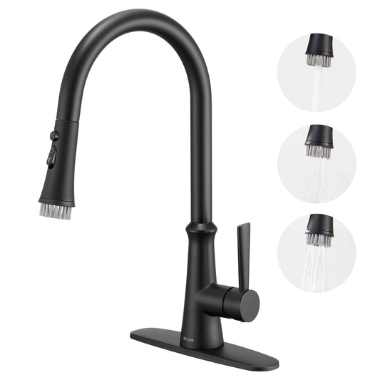 Aktines Matte Black Kitchen Faucet with Sprayer