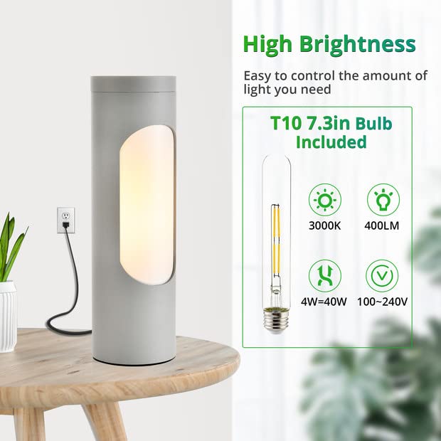 LEDIARY Shabbos Reading Lamp with T10 Bulb