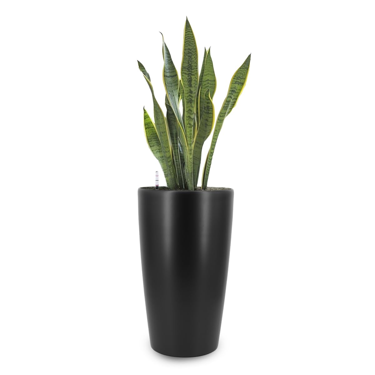 Self-Watering Plant Pot by Liventra, Medium Size