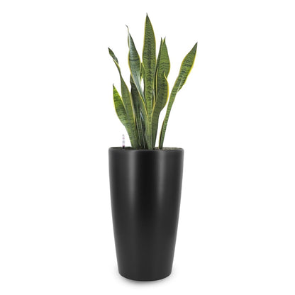 Self-Watering Plant Pot by Liventra, Medium Size