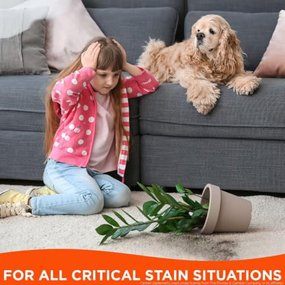 Tide Laundry Stain Remover with Oxi, Rescue Clothes, Upholstery, Carpet and more from Tough Stains, Stain Treater, 22 Fl Oz (Pack of 4)