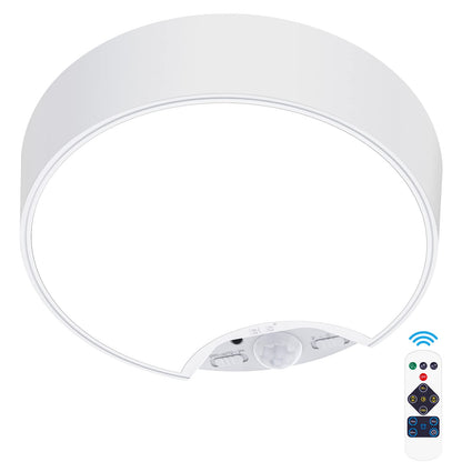 Battery Operated Motion Sensor Ceiling Light