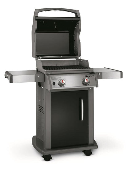 Weber 2-Burner Gas Grill for Outdoor Cooking
