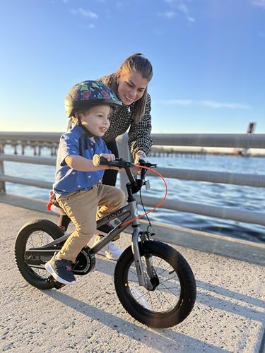 RoyalBaby 14 Inch Kids Bicycle with Handbrakes