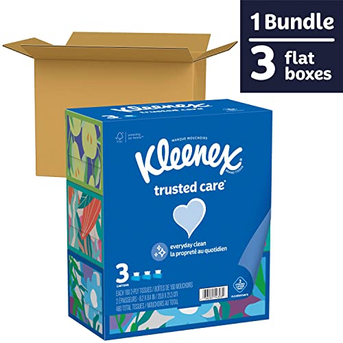 Kleenex Trusted Care Facial Tissues, 3 Flat Boxes, 160 Tissues per Box, 2-Ply (480 Total Tissues), Packaging May Vary