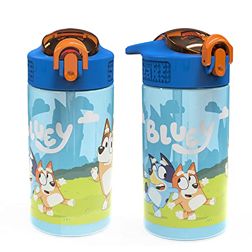 2 Pack Kids 16oz Leakproof Straw Water Bottles