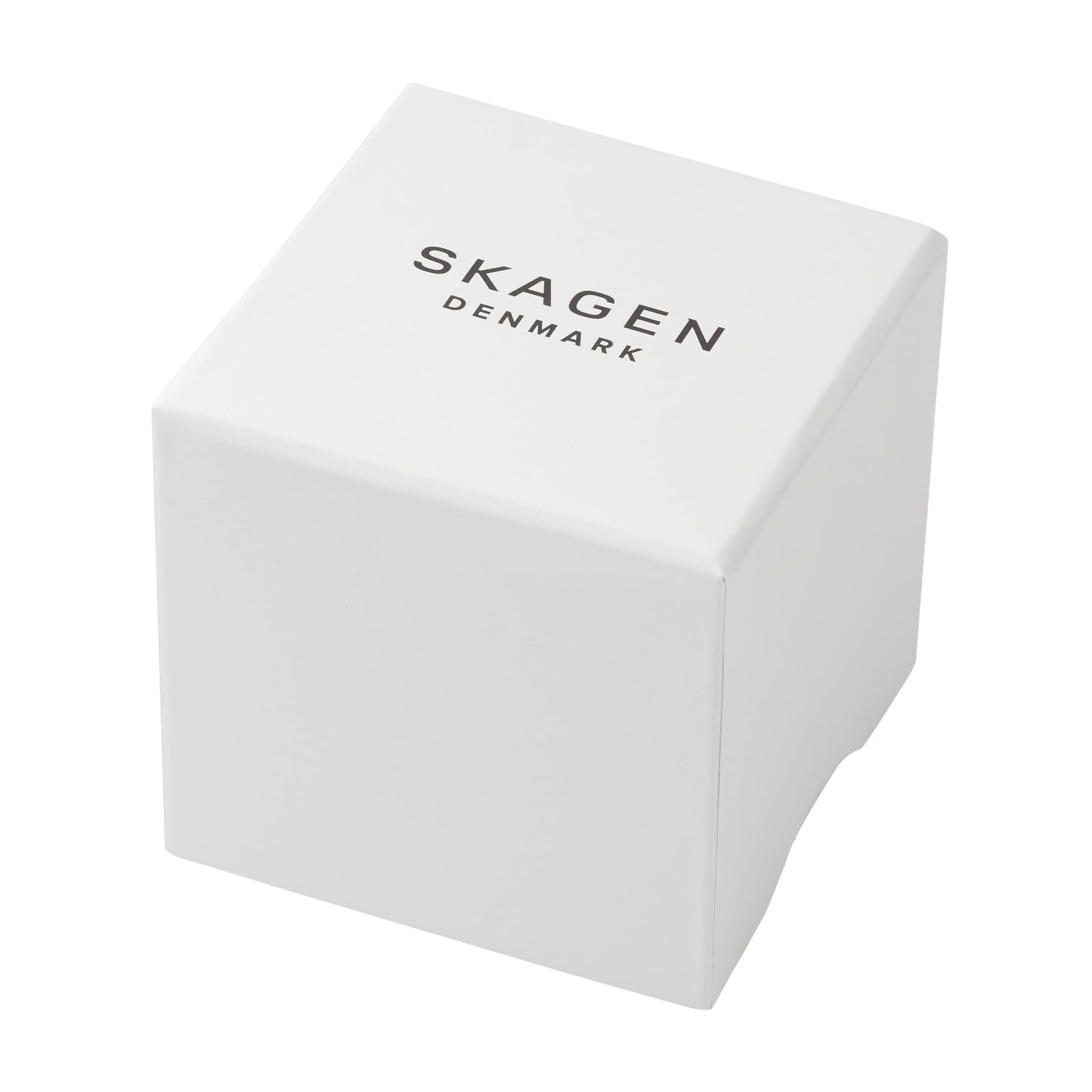 Skagen Men's Silver Mesh Band Watch SKW6904