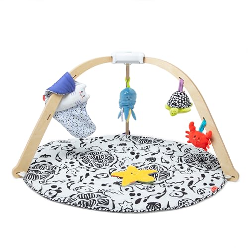 Melissa & Doug Wooden Baby Play Gym Activity Center