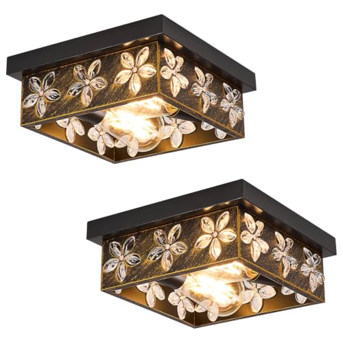 2 Pack 10-Inch Flush Mount Ceiling Light Fixtures