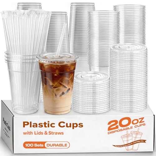 100 Pack 20oz Plastic Cups with Lids and Straws