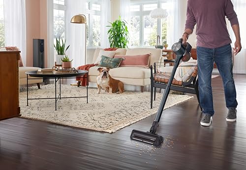 LG CordZero A937 - Cordless Stick Vacuum Cleaner with Auto-Empty Base, 120 Minute Runtime w/Extra Rechargeable Battery, Dual Floor Max, Lightweight, Powerful Cleaning for Carpet, Hardwood, Pet Hair