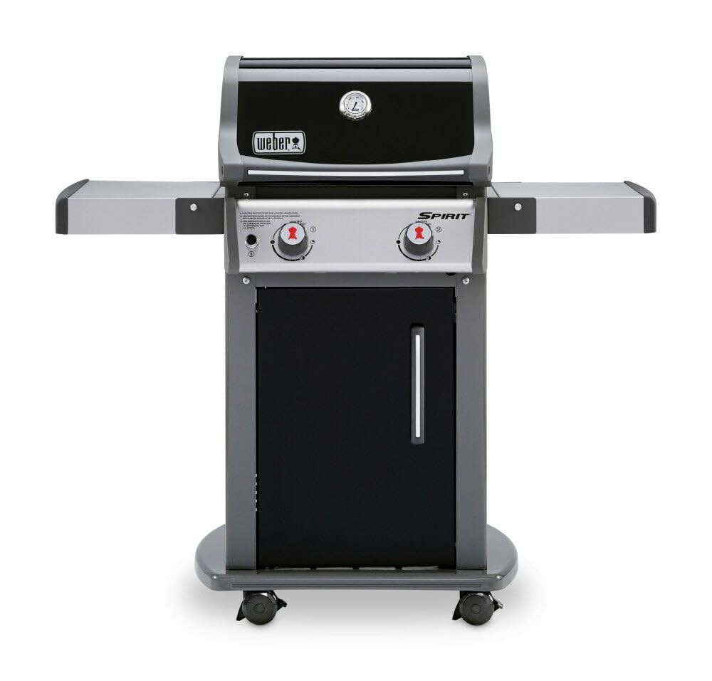 Weber 2-Burner Gas Grill for Outdoor Cooking