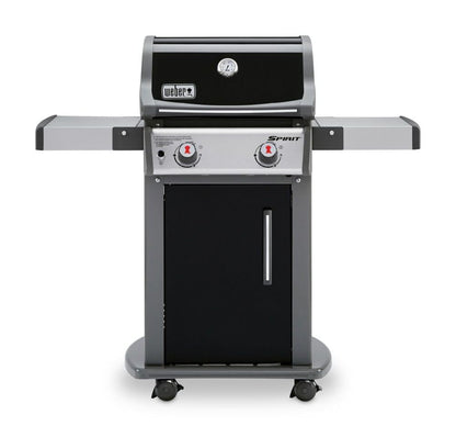 Weber 2-Burner Gas Grill for Outdoor Cooking