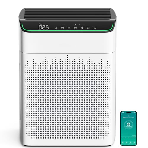 WiFi HEPA Air Purifier with PM2.5 Monitor
