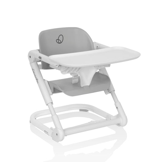Evenflo Portable 2-in-1 Booster Chair
