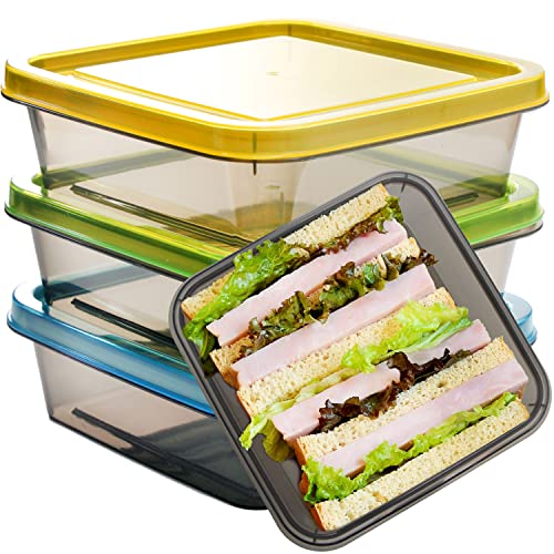 3 Pack Reusable Sandwich Lunch Containers