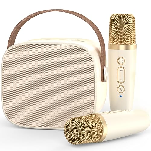 Bluetooth Karaoke Machine with 2 Wireless Microphones