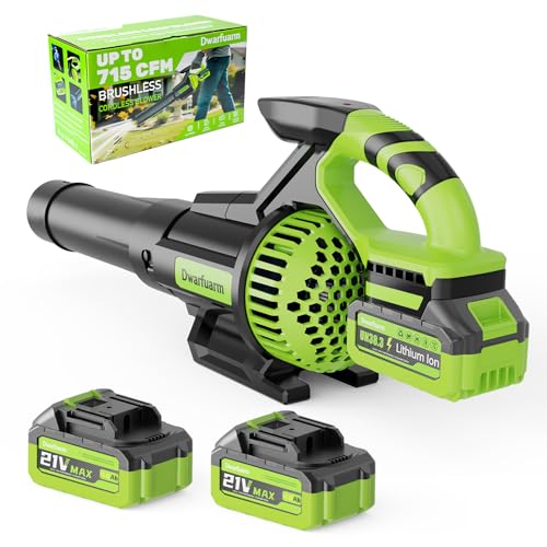 2 Battery Cordless Leaf Blower with Brushless Motor