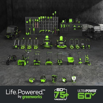 Greenworks 60V Cordless Trimmer & Blower Combo
