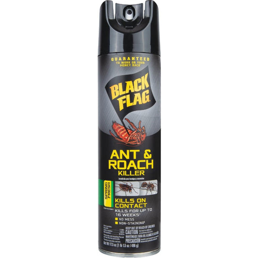 Black Flag Ant and Roach Killer Spray 17.5oz