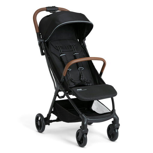 Delta Children Compact Travel Stroller with Canopy