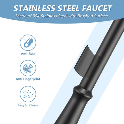Aktines Matte Black Kitchen Faucet with Sprayer