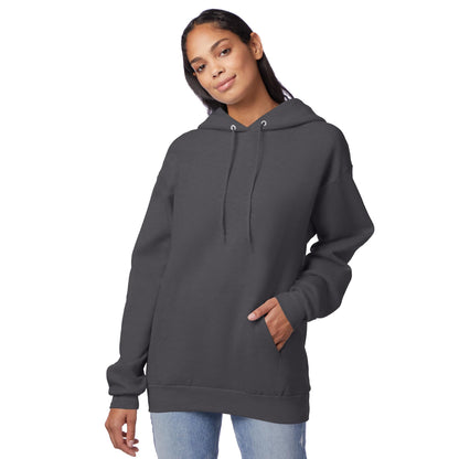 Hanes EcoSmart Pullover Hooded Sweatshirt, Grey