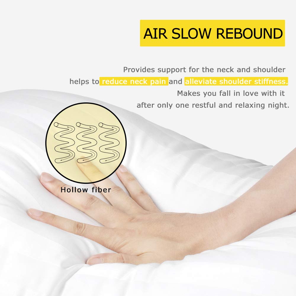 COZSINOOR Cozy Dream Bed Pillows Pack of 4